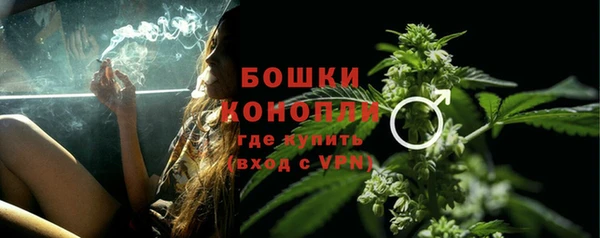 стаф Беломорск